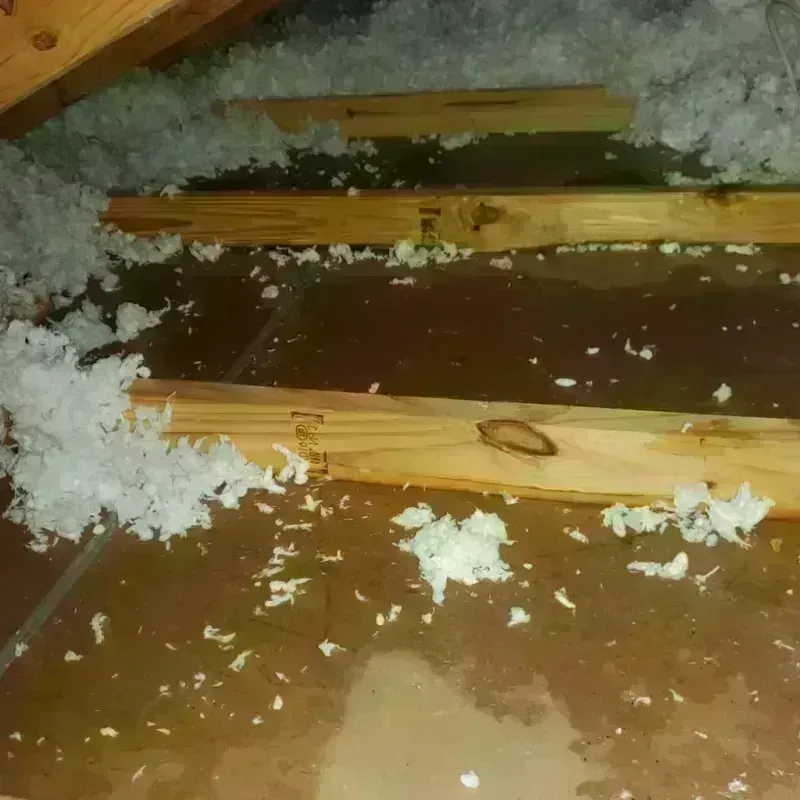 Attic Water Damage in Spokane Valley, WA