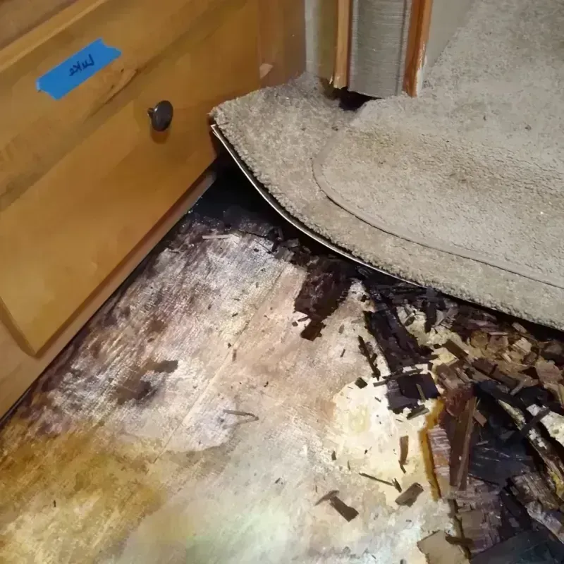 Wood Floor Water Damage in Spokane Valley, WA